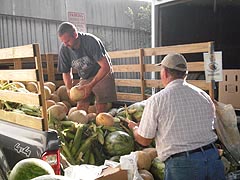 [photo, Baltimore Farmers' Market, Holliday St. and Saratoga St., Baltimore, Maryland]