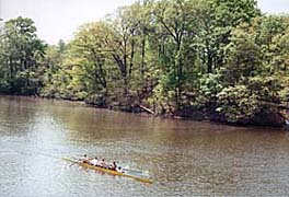 [photo, Crew team on College Creek, Annapolis, Maryland]