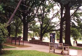 [photo, Campus scene, University of Maryland, College Park, Maryland]