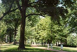 [photo, Naval Academy grounds, Annapolis, Maryland]